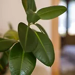Gemuetliches In Mit Grossem Garten By Interhome *