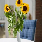 Gemuetliches In Mit Grossem Garten By Interhome Feriehus *