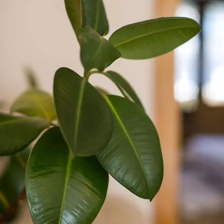 Gemuetliches In Mit Grossem Garten By Interhome *