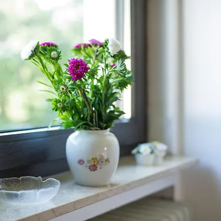 Gemuetliches In Mit Grossem Garten By Interhome Hasenfeld