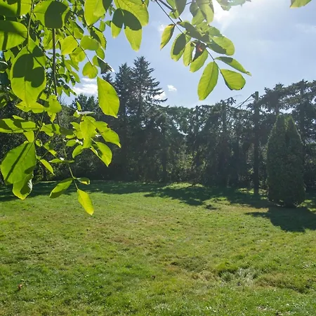 Feriehus Gemuetliches In Mit Grossem Garten By Interhome Hasenfeld