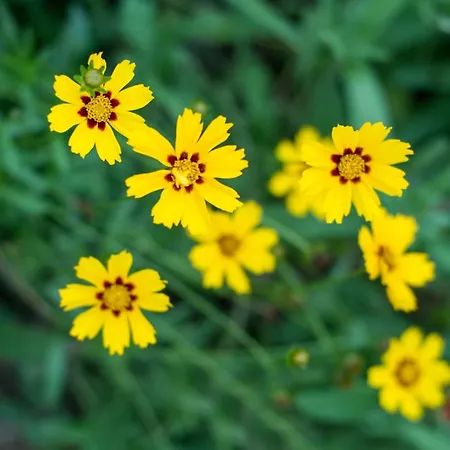 Feriehus Gemuetliches In Mit Grossem Garten By Interhome *