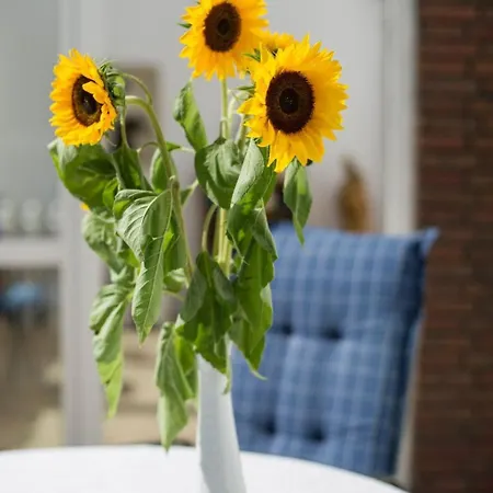 Gemuetliches In Mit Grossem Garten By Interhome Feriehus *