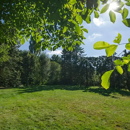 Feriehus Gemuetliches In Mit Grossem Garten By Interhome Hasenfeld