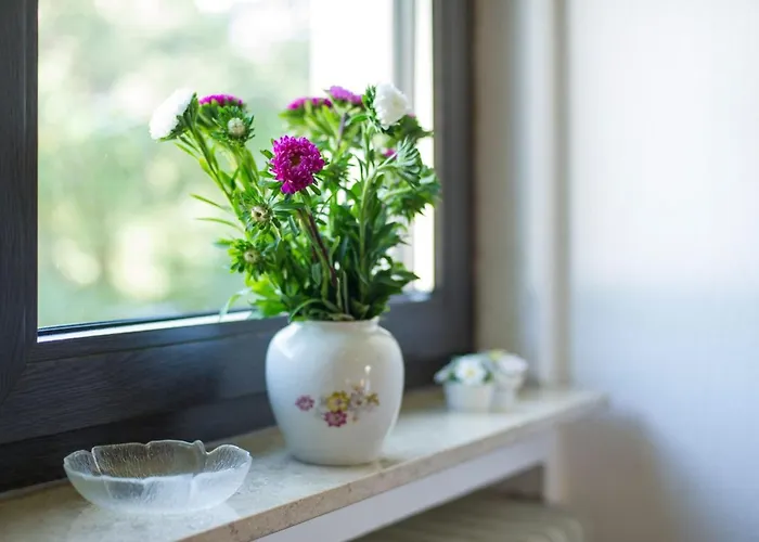 Gemuetliches In Mit Grossem Garten By Interhome Hasenfeld