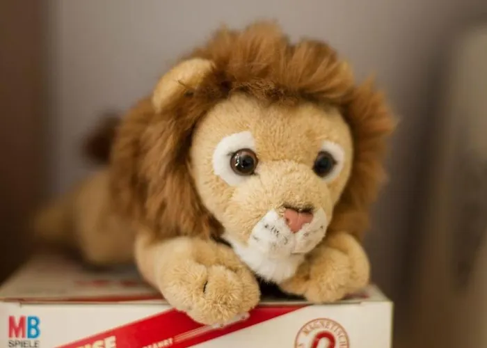 Gemuetliches In Mit Grossem Garten By Interhome Hasenfeld