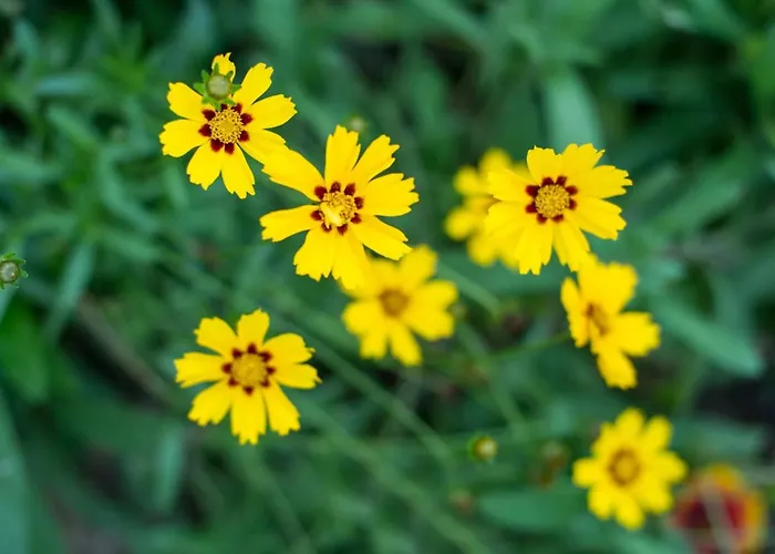Prázdninový dům Gemuetliches In Mit Grossem Garten By Interhome *