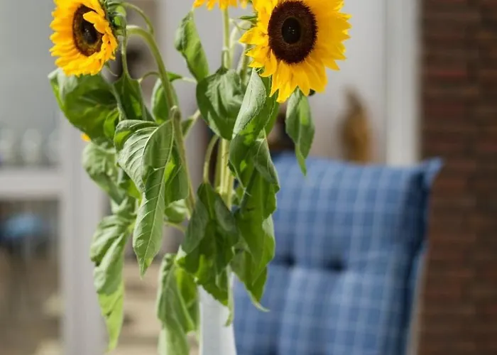 Gemuetliches In Mit Grossem Garten By Interhome Dom wakacyjny *